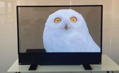 Display Transparan Ultra Thin OLED Untuk Iklan Indoor