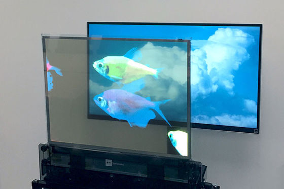 Pencahayaan Tinggi OLED Tampilan Transparan, Full Color Clear OLED Screen Multipurpose