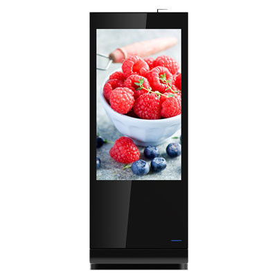55 Inch Free Standing Digital Screen Dengan 8GB 16GB Storage